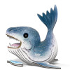 Leopard Seal EUGY2