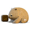 Wombat EUGY2