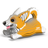 Welsh Corgi EUGY2