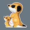 Display Show Card Meerkat