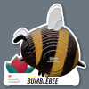 Display Show Card Bumblebee