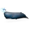 Sperm Whale EUGY2