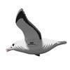 Royal Albatross EUGY2