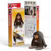 Sasquatch EUGY2