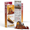 Walrus EUGY2