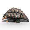 Pangolin EUGY2