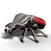 Goliath Beetle EUGY2