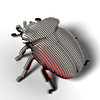 Goliath Beetle EUGY2