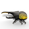 Hercules Beetle EUGY2
