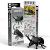 Rhino Beetle EUGY2