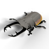 Stag Beetle EUGY2