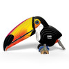 Toucan EUGY2