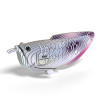 Silver Arowana EUGY2