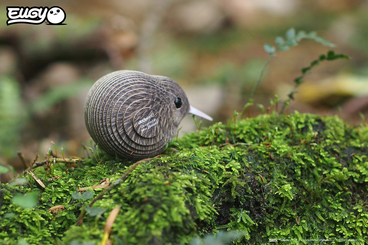 Kiwi EUGY2