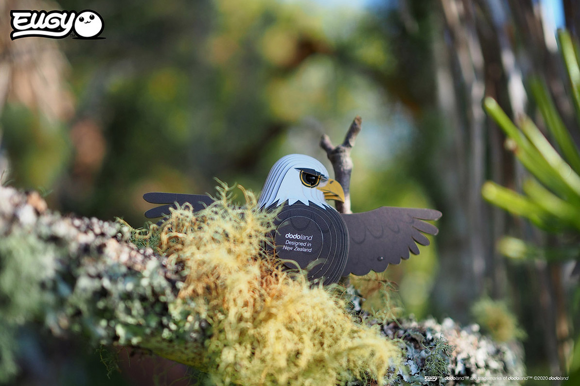 Bald Eagle EUGY2