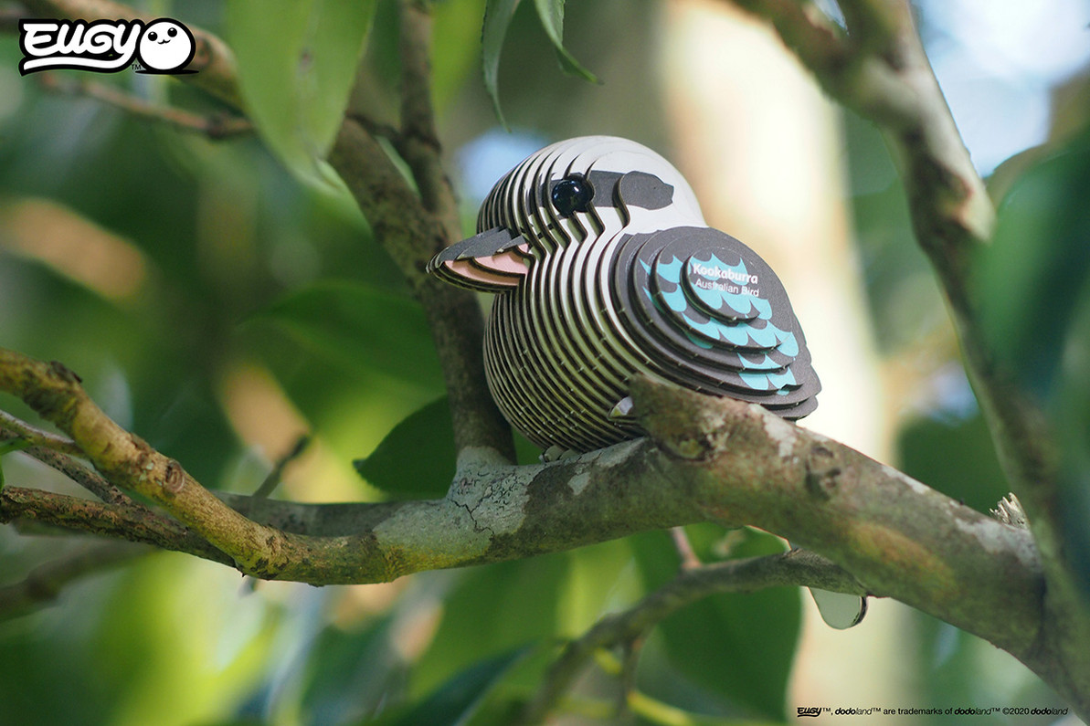 Kookaburra EUGY2