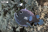 116 Anglerfish