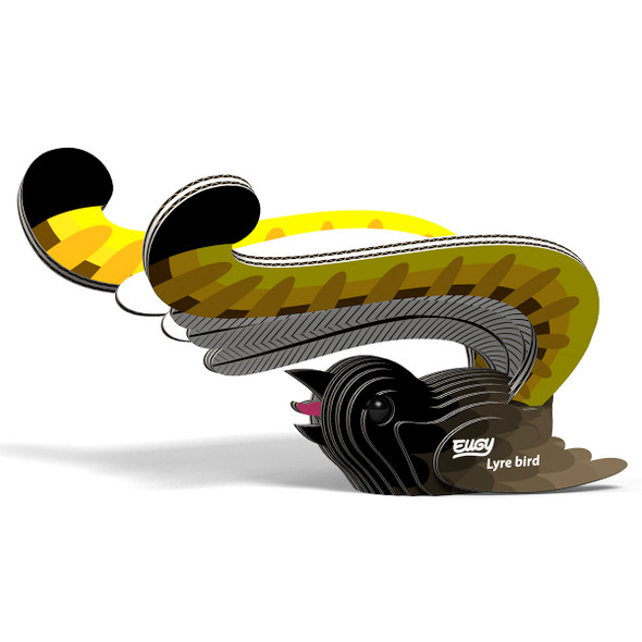 Lyre Bird EUGY2