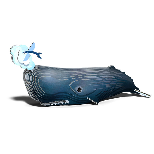 Sperm Whale EUGY2