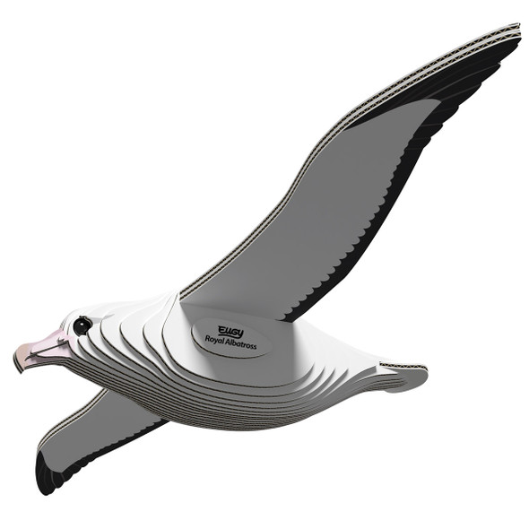 Royal Albatross EUGY2