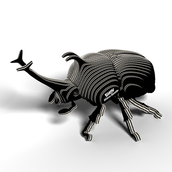 Rhino Beetle EUGY2