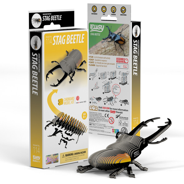 Stag Beetle EUGY2