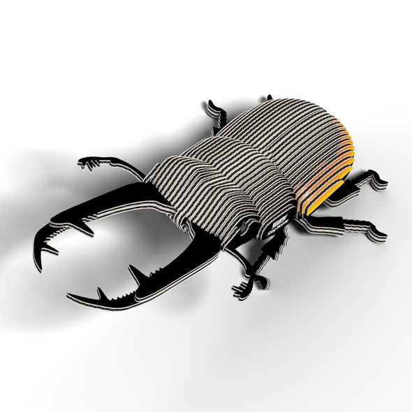 Stag Beetle EUGY2
