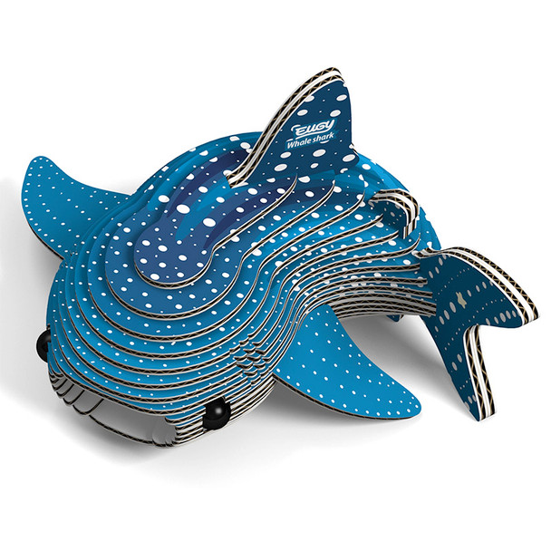 Whale Shark EUGY2