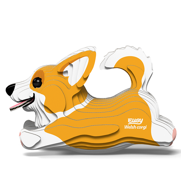 Welsh Corgi EUGY2