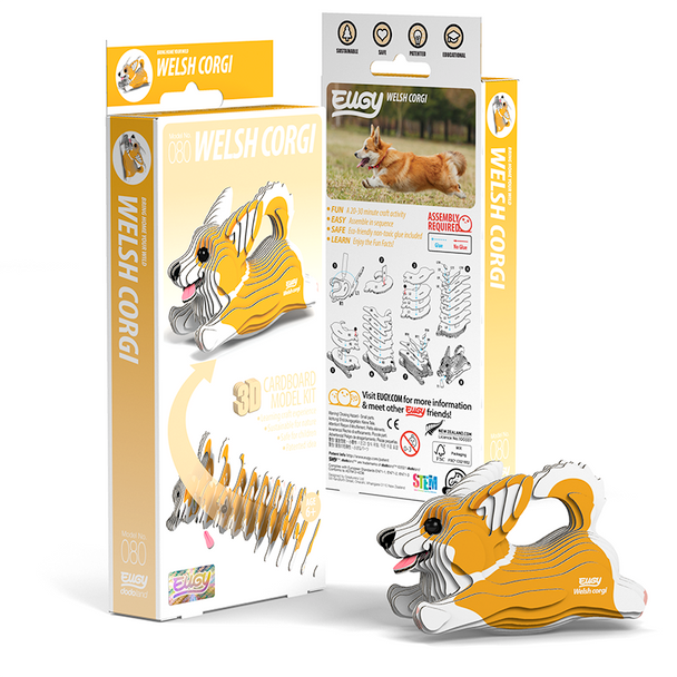 Welsh Corgi EUGY2
