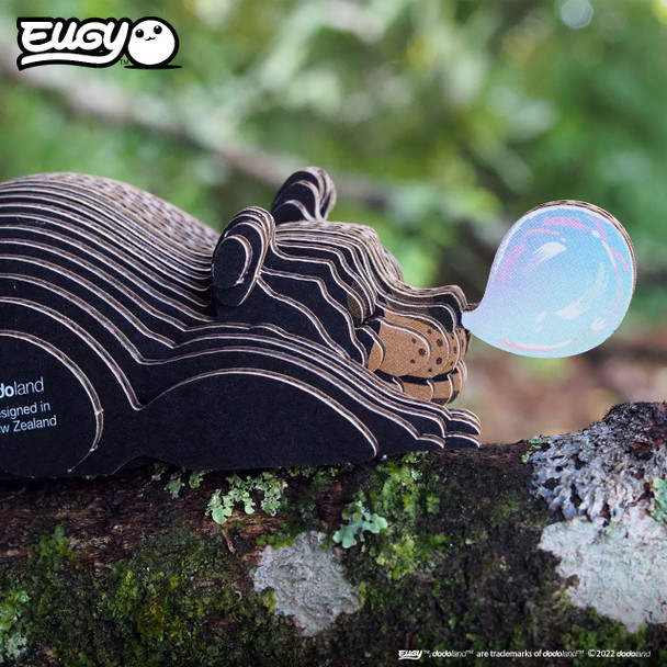 Black Bear EUGY2