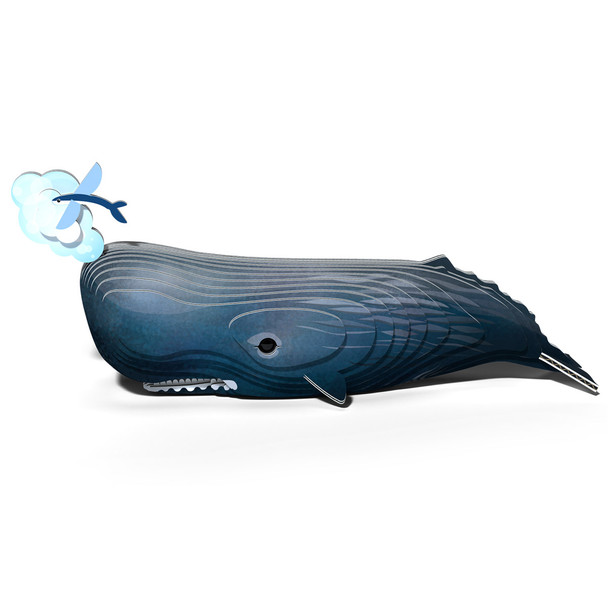 Sperm Whale EUGY2