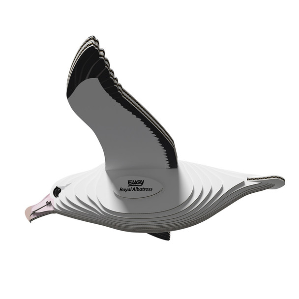 Royal Albatross EUGY2