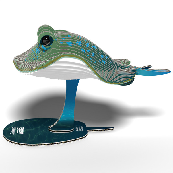 Stingray EUGY2