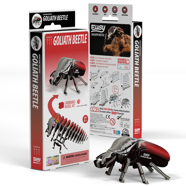 Goliath Beetle EUGY2