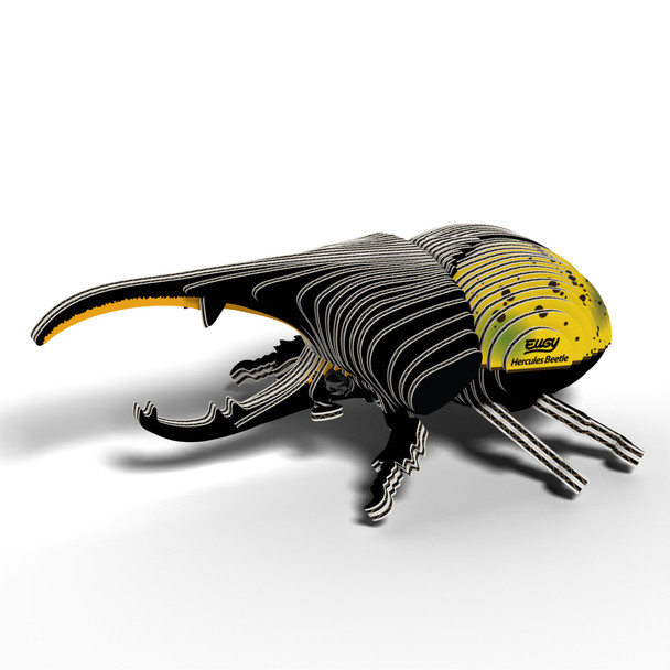Hercules Beetle EUGY2