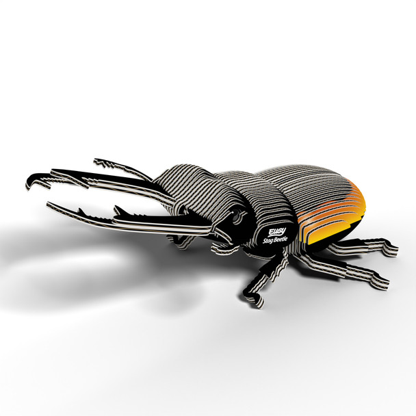 Stag Beetle EUGY2