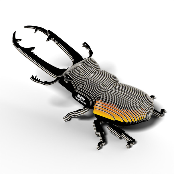 Stag Beetle EUGY2