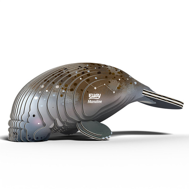 Manatee EUGY2