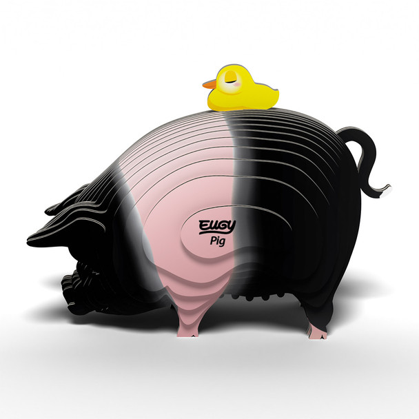 Pig EUGY2