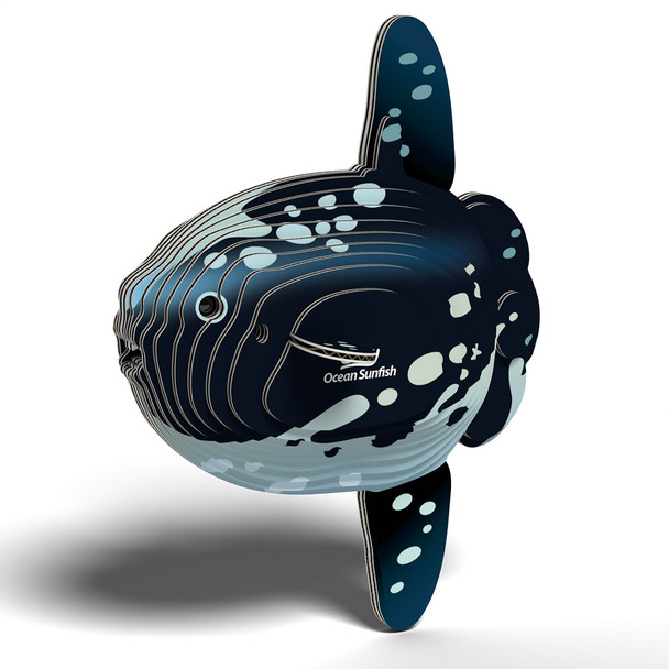 Ocean Sunfish EUGY2