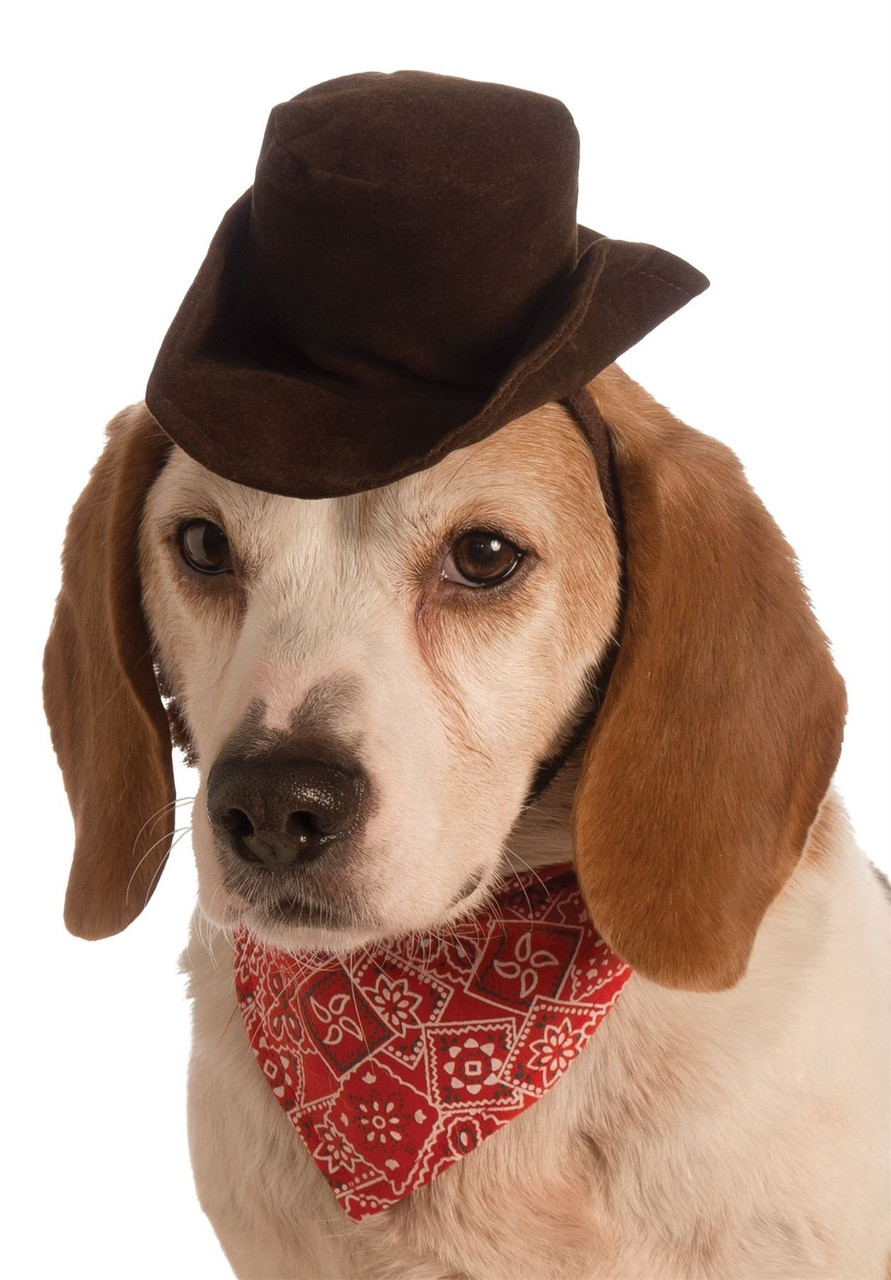 Pet dog Cowboy hat and scarf Halloween costume CostumeVille