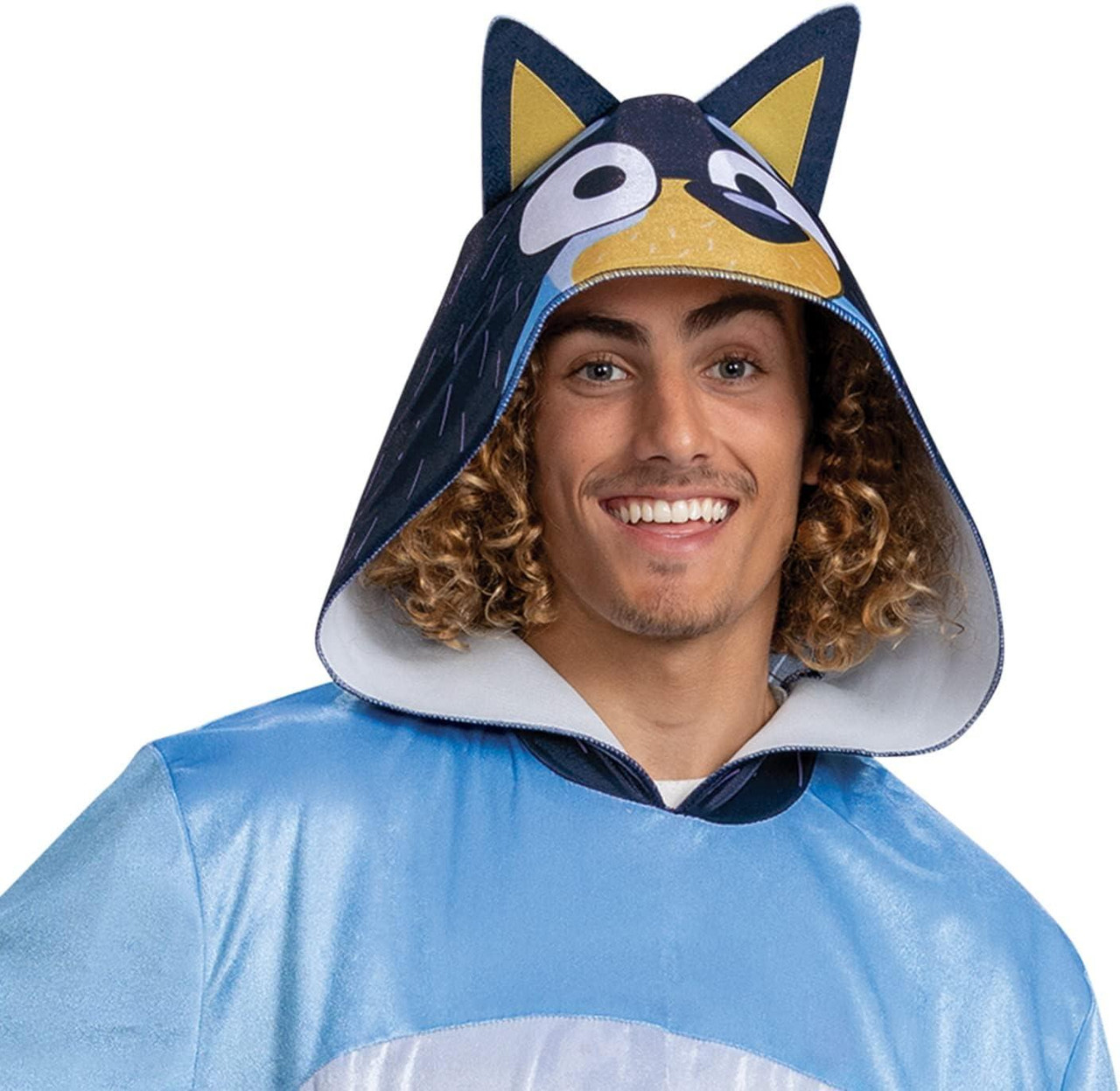 Disguise Bluey Bandit Costume, Official Bluey Dad Costume and Headpiece ...