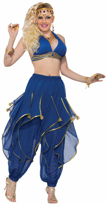 Deluxe Harem Pants Genie Belly Dancer Adult Womens Halloween Costume