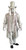 Ghostly Gentleman ghost ghoal dead mens groom halloween costume STD