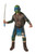 Teenage Mutant Ninja Turtles Leonardo Kids Costume