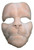 Lion Mask Foam Latex Prosthetic