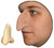 Witch Nose Wicked foam latex prosthetic theater appliance