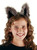 RACCOON SET accessory ears tail furry animal adult kids halloween costume