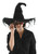 BLACK WITCH HAT classic goth pointed adult womens halloween costume accessory